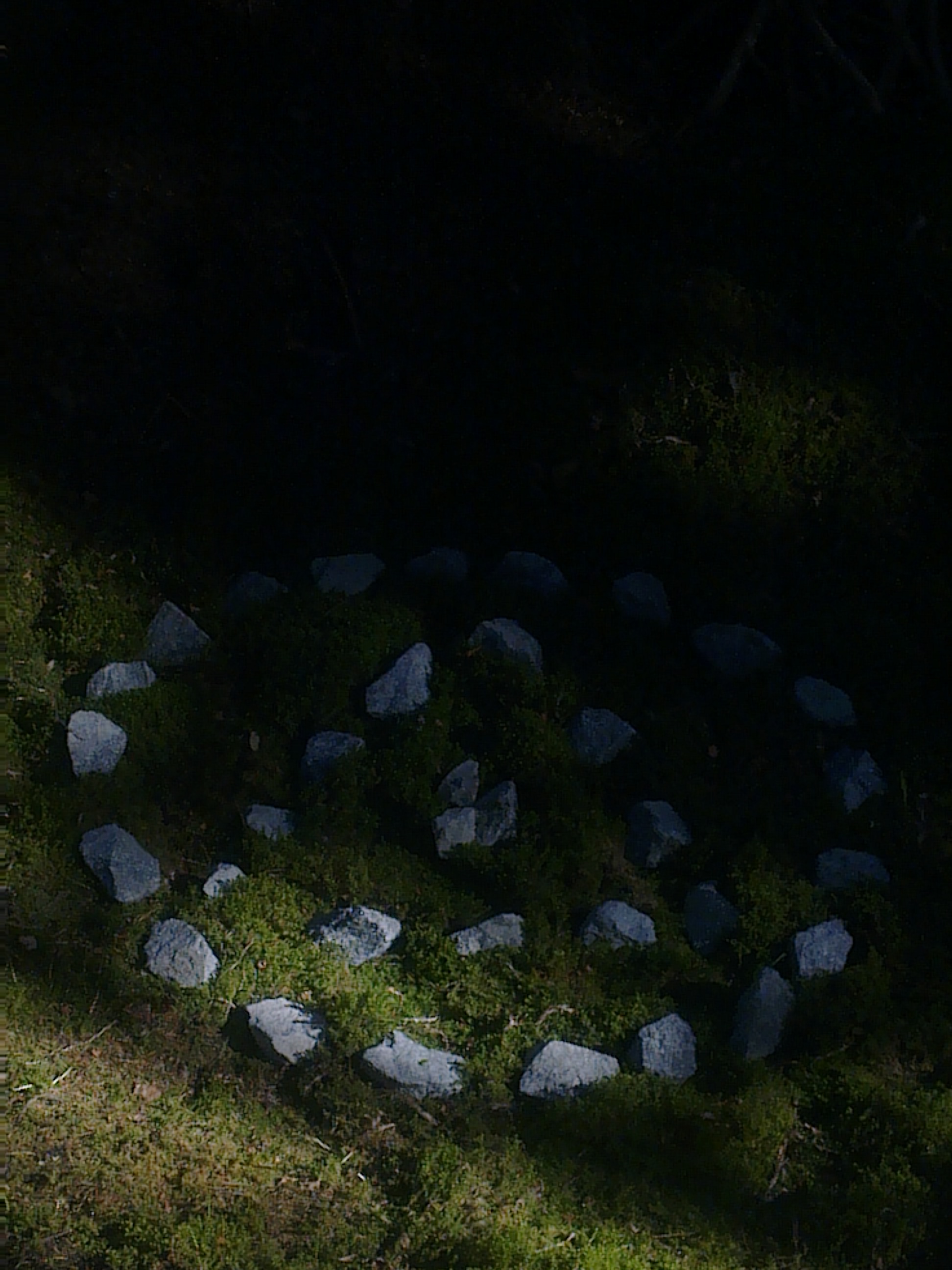 KULTUREN, ARVET OCH VÅR VÄRLDS HISTORIA